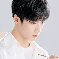 Lưu diệu văn_anh