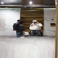 T/g zô tri