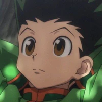 Gon Freecss