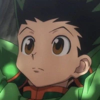 Gon Freecss