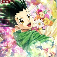 Gon Freecss