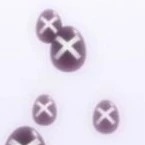 Trứng X