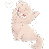 Bakugo Katsuki (mèo)