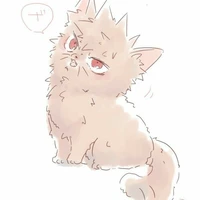 Bakugo Katsuki (mèo)