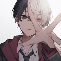 homoki/ ultraman zero