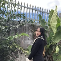 Nhỏ tác giả khờ