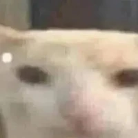 Vai gì cũng đóng được