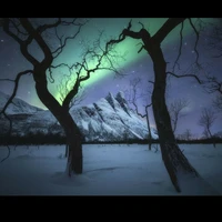 Nhân vật tổng hợp