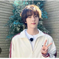 kim seokjin
