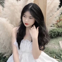 Hạ Ái Phương