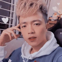 Hoài Việt ( MR Vịt )