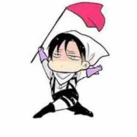 Levi Ackerman 