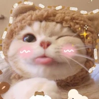 Mèo ú (tác giả)