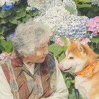 Bà Tô