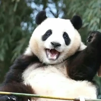 bà tác giả k độc ác=))