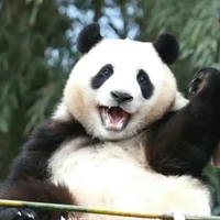 bà tác giả k độc ác=))
