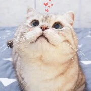 tác giả
