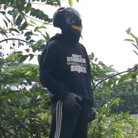 error sans