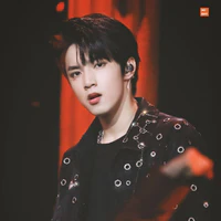 Lưu Diệu Văn