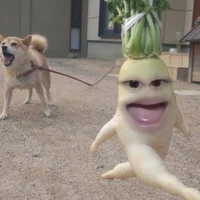 Tác giả qq