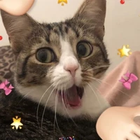Clokurr