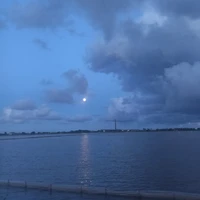 xã hội quần chúng