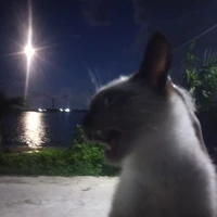 All-trừ ai thì trừ