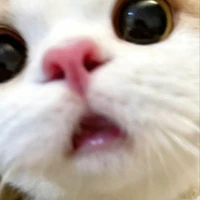 T/g cuti ghét ngược =)