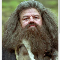 Rubeus Hagrid
