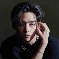 Kim Taehyung [V]
