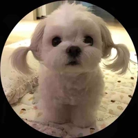 Tác giả hướng tùm lum