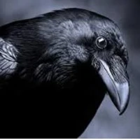 Quạ Đen