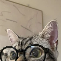 ha ru chi ô