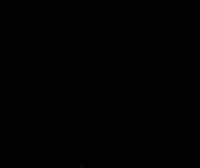 t/g