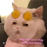coan t/g ắc độc