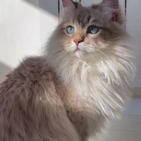 Winnie