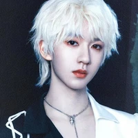 Hạ Tuấn Lâm