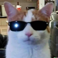 Gojo Y/n