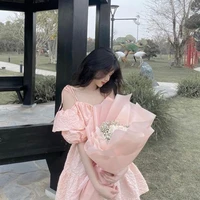 Cố Liên Vy