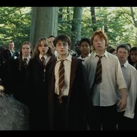 Bộ tứ Gryffindor