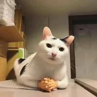 tất cả nhân vật (trừ vài người)