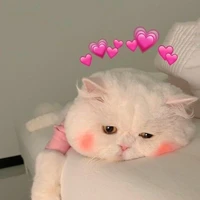Vanie🌷