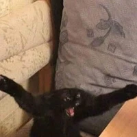 Y/n