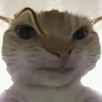 Nhân vật bí ẩn đoán xem=))