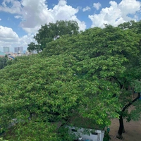 Người dân