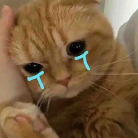 ;3