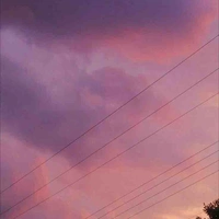 Tg điên 