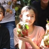 Thảo Nguyên
