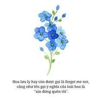 T/g cọc
