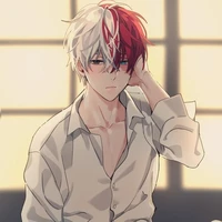 todoriki shouto